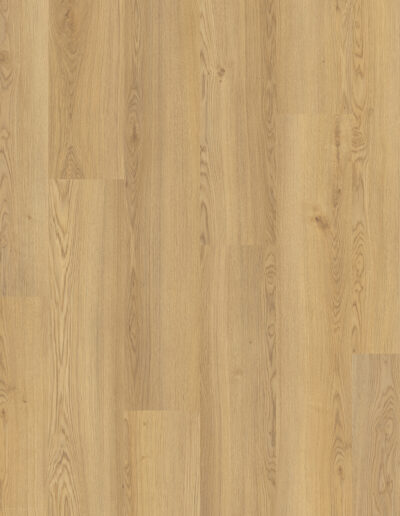 Beautifloor Laminaat Antwerpen Millegem (Hydroshield)